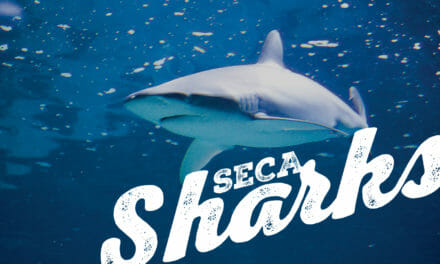 SECA Sharks Swim Team