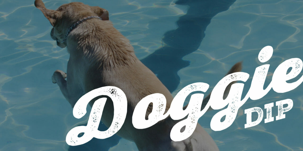 Annual Doggie Dip Set for September 9, 2023