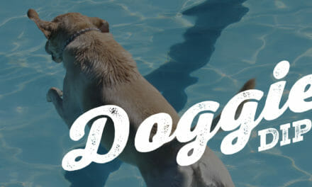 Annual Doggie Dip Set for September 9, 2023